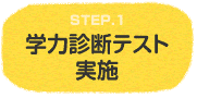 学力診断テスト実施